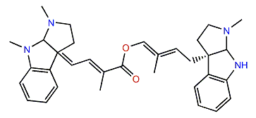 Pseudophrynamine 524